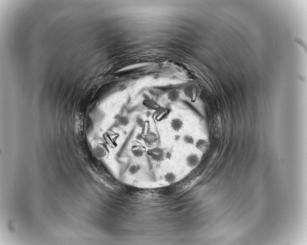 X0000094960284200712271726