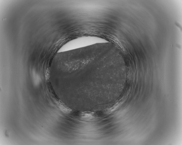 X0000094960285200712271726