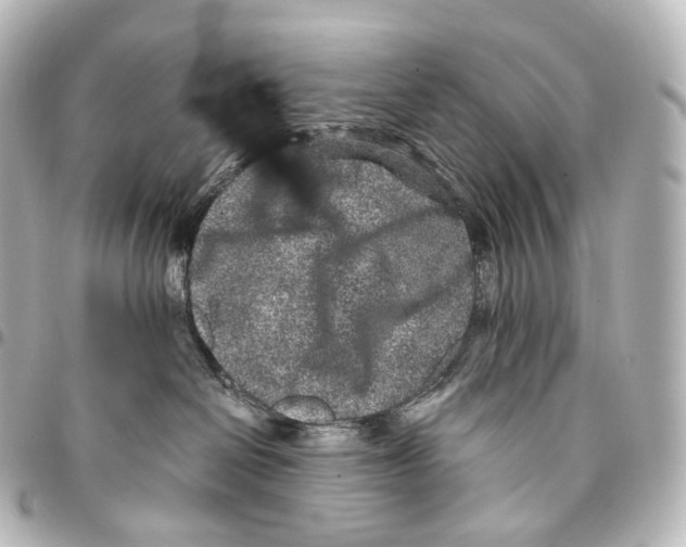 X0000094960286200712271726