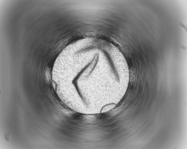 X0000094960287200712271726