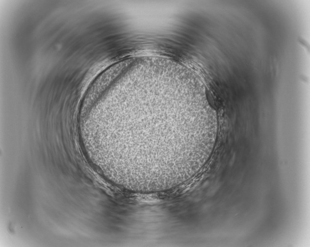 X0000094960289200712271726