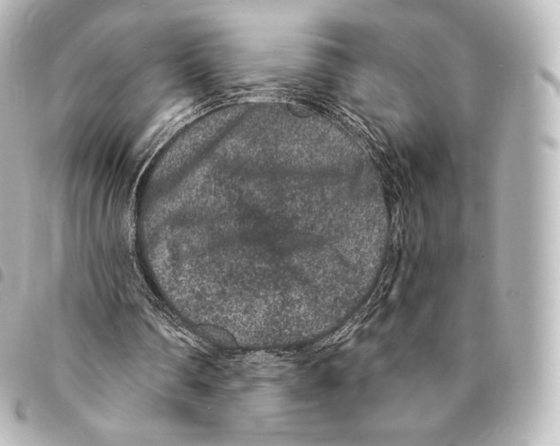 X0000094960290200712271726