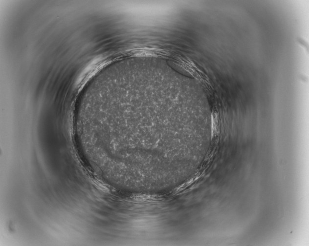 X0000094960291200712271726