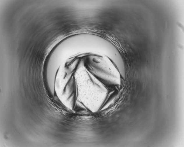X0000094960292200712271726
