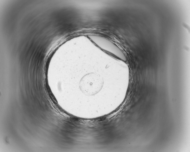 X0000094960293200712271726