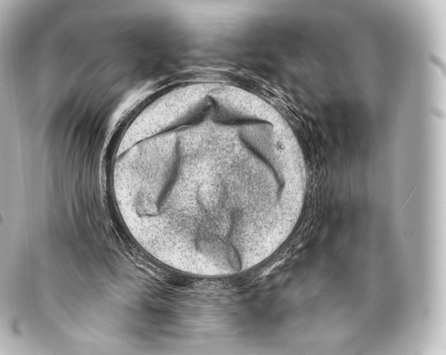 X0000094960294200712271726
