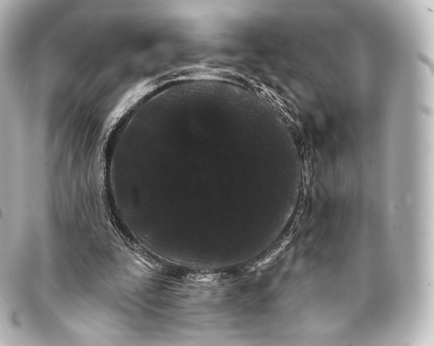 X0000094960295200712271726
