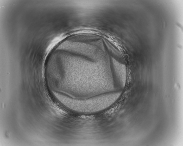 X0000094960296200712271726