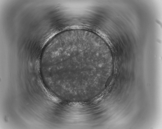 X0000094960297200712271726