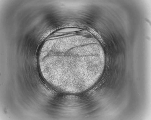 X0000094960298200712271726