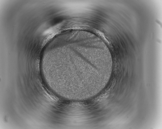 X0000094960299200712271726