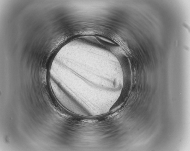 X0000094960300200712271725