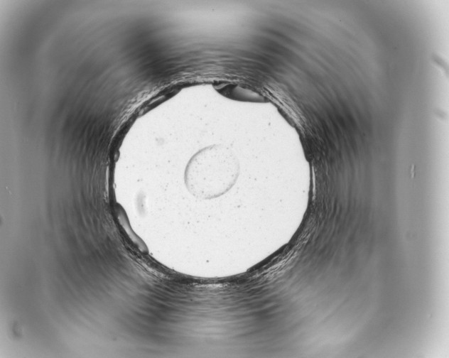X0000094960301200712271725