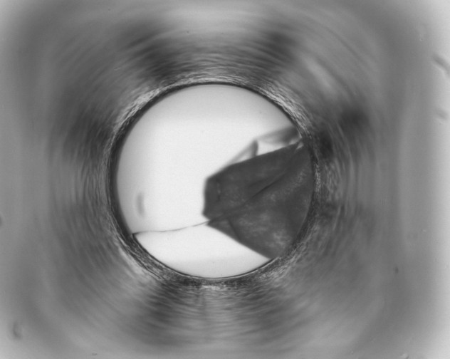 X0000094960302200712271725