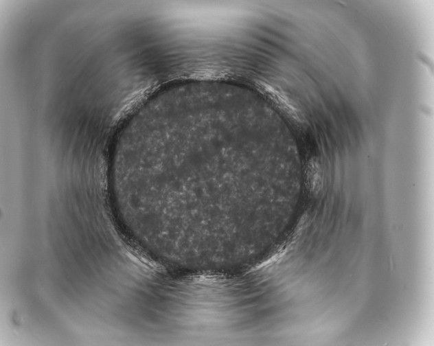 X0000094960303200712271725
