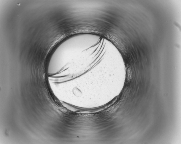 X0000094960304200712271725