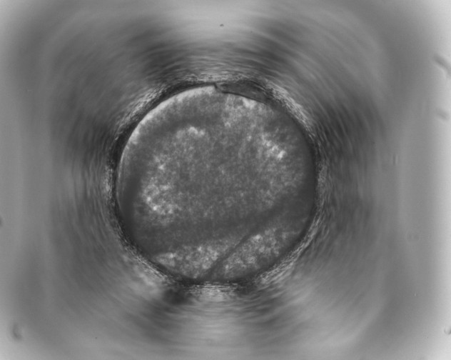 X0000094960305200712271725