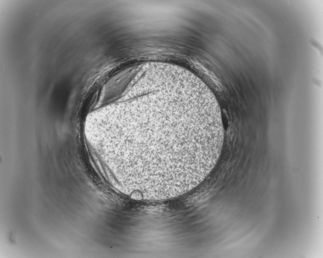 X0000094960306200712271725