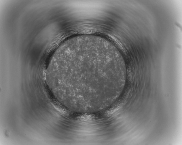 X0000094960307200712271725