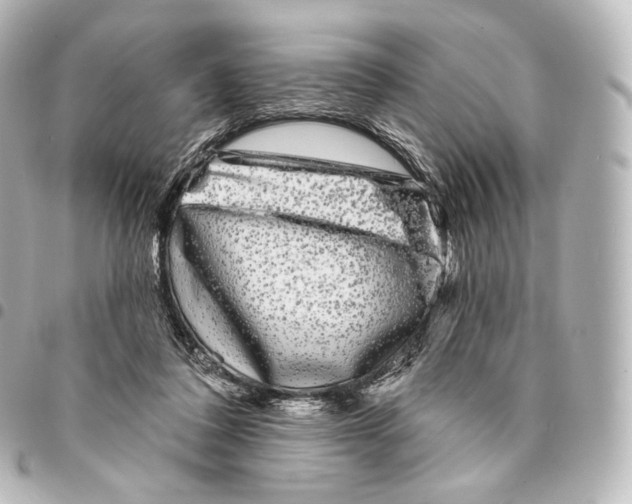 X0000094960308200712271725