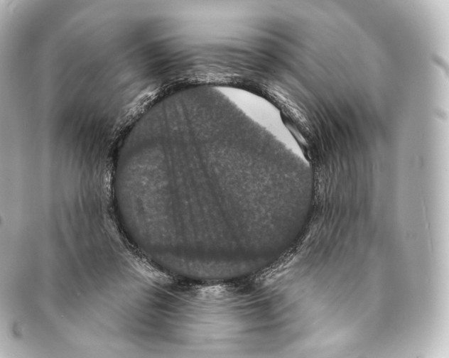 X0000094960309200712271725