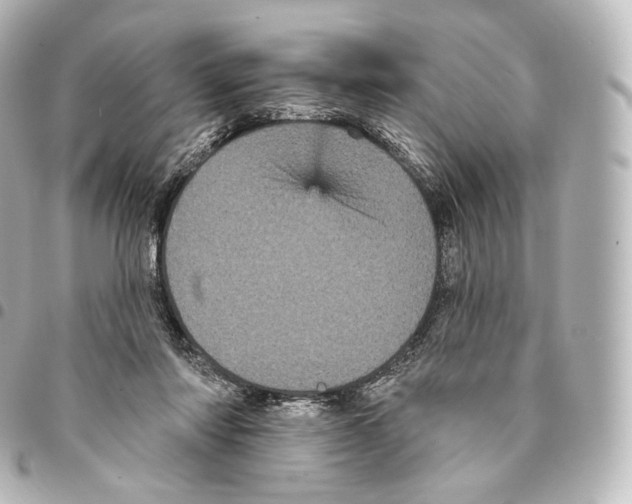 X0000094960310200712271725