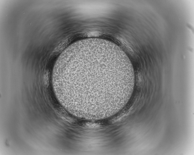 X0000094960311200712271725