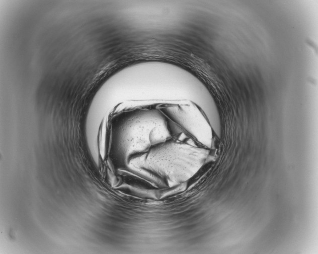 X0000094960312200712271725