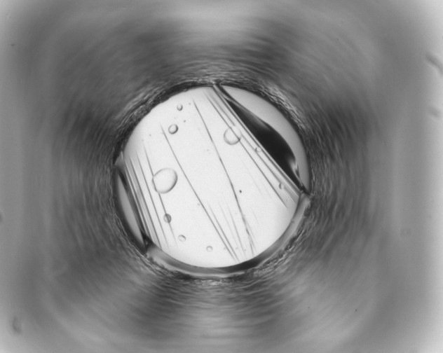 X0000094960313200712271725