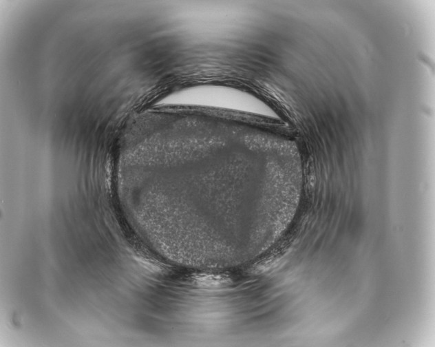 X0000094960315200712271725
