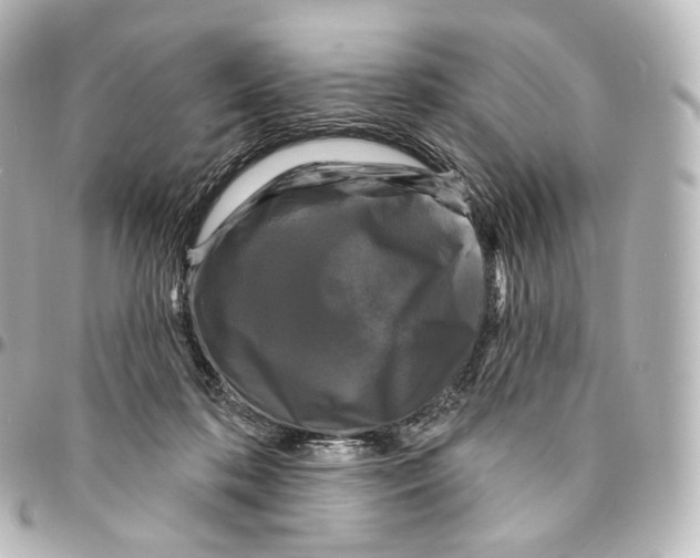 X0000094960316200712271725
