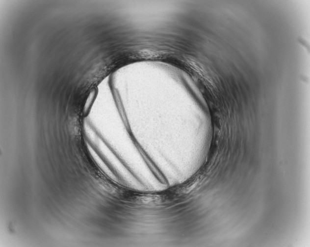 X0000094960317200712271725