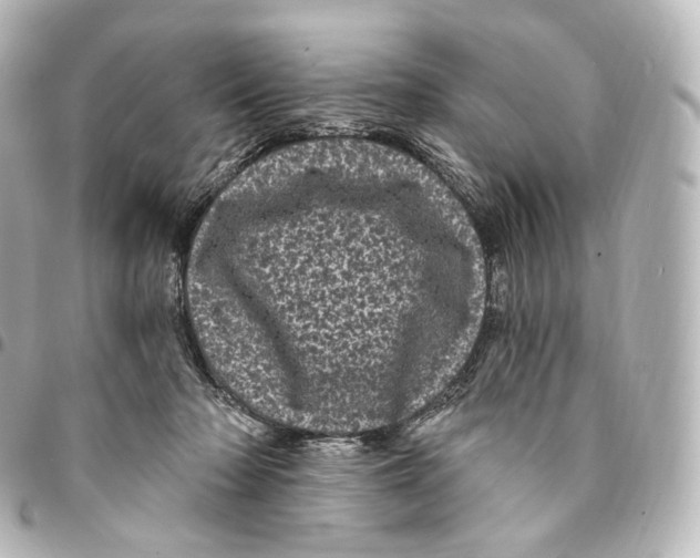 X0000094960318200712271725