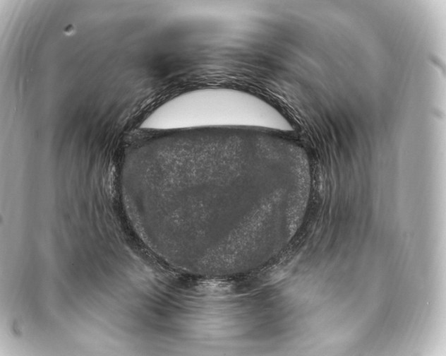 X0000094960319200712271725