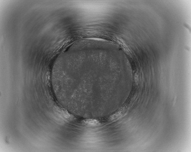 X0000094960322200712271725