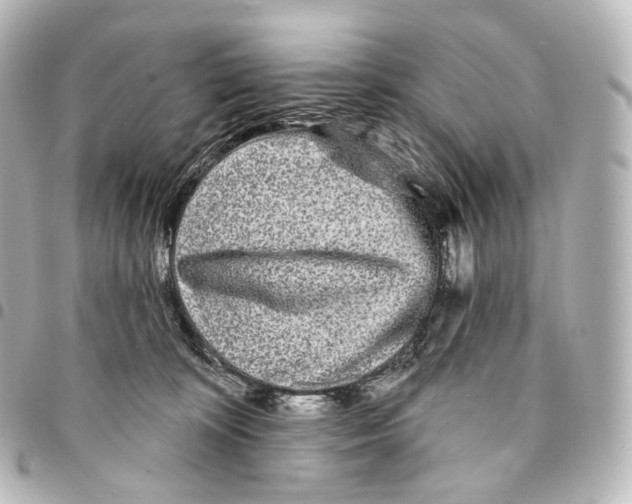 X0000094960324200712271725