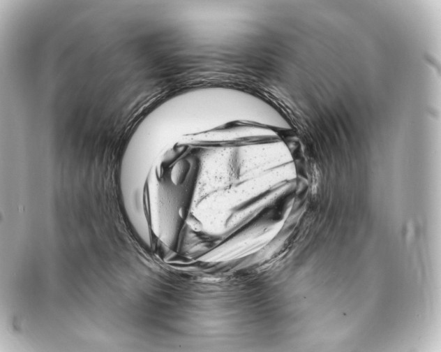 X0000094960325200712271725