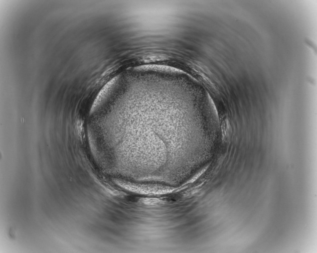 X0000094960327200712271725