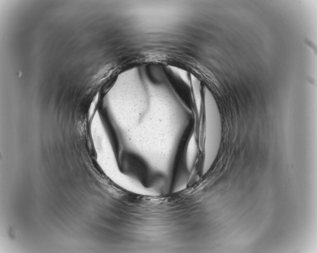 X0000094960329200712271725
