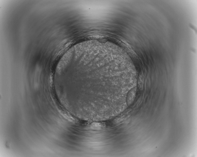 X0000094960330200712271725