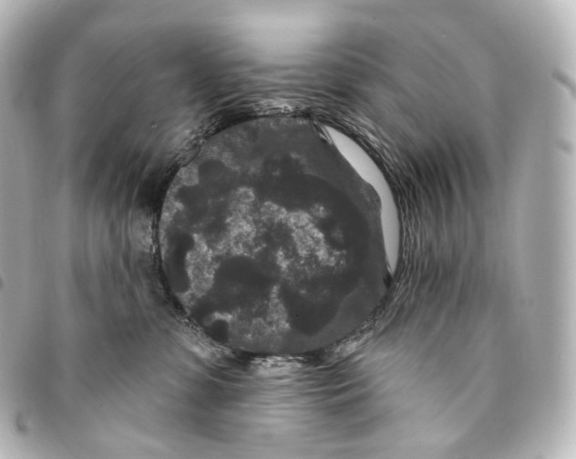 X0000094960331200712271725