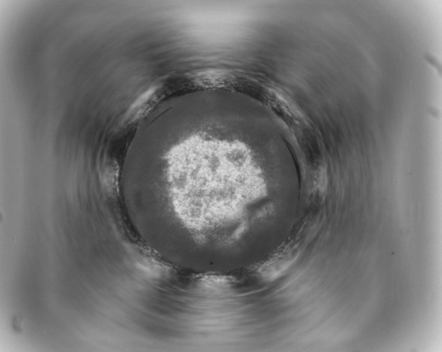 X0000094960332200712271725