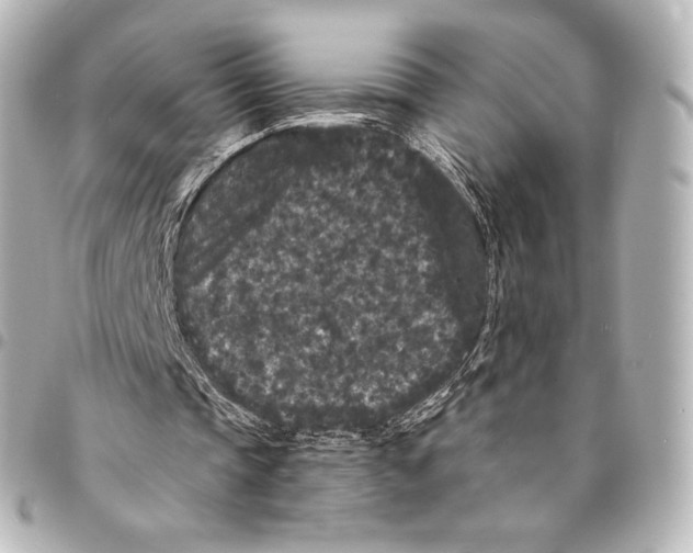 X0000094960337200712271724