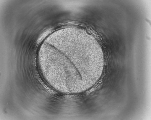 X0000094960341200712271724