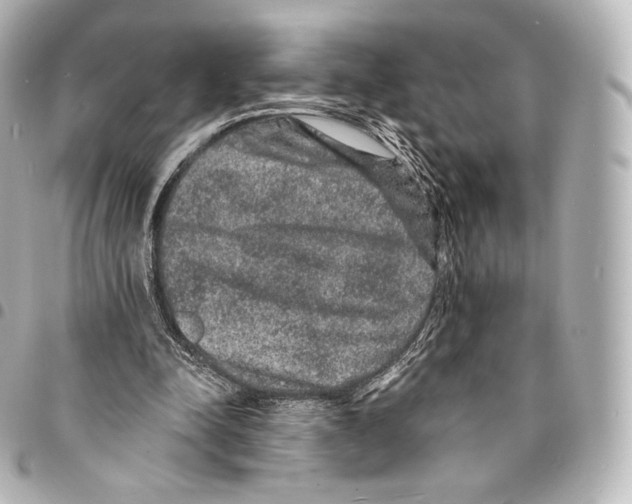 X0000094960342200712271724