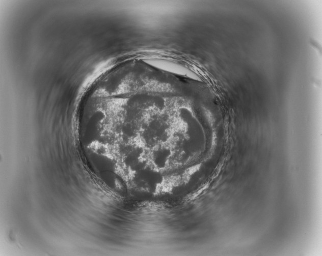 X0000094960343200712271724