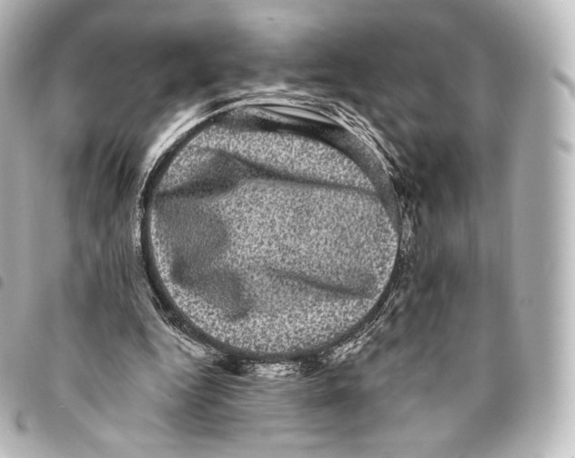 X0000094960344200712271724