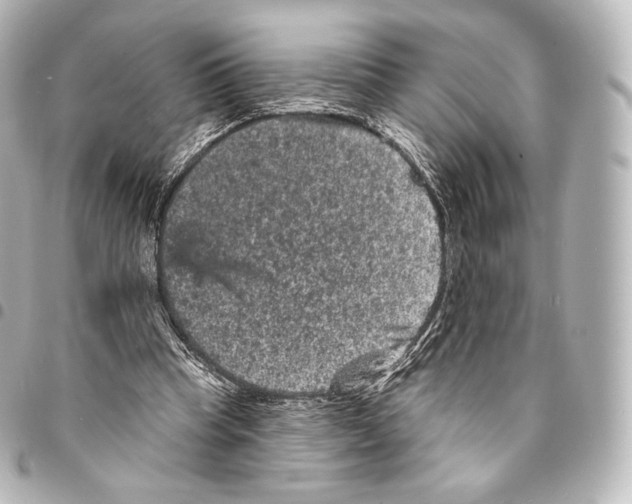 X0000094960345200712271724