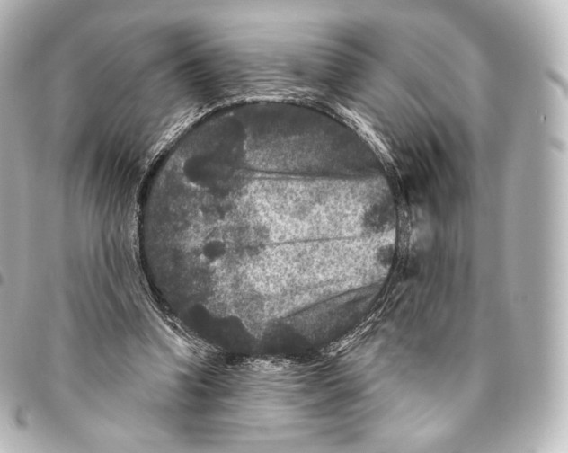X0000094960346200712271724