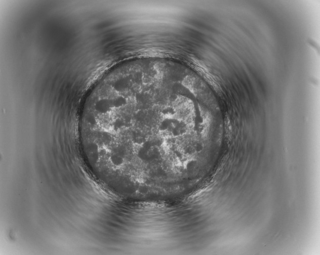 X0000094960347200712271724